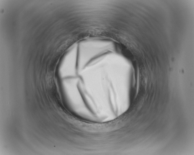 X0000075360034200609291512