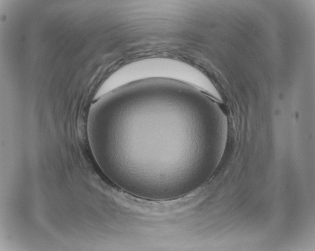 X0000075360035200609291512