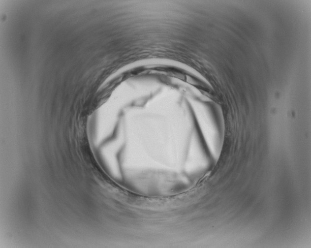 X0000075360037200609291512