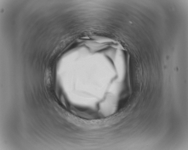 X0000075360038200609291512