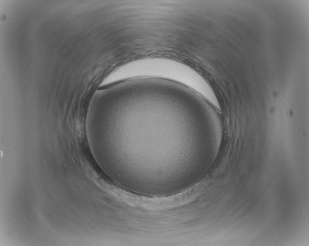 X0000075360039200609291512