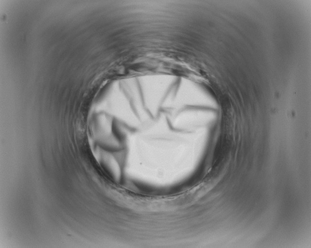 X0000075360040200609291512