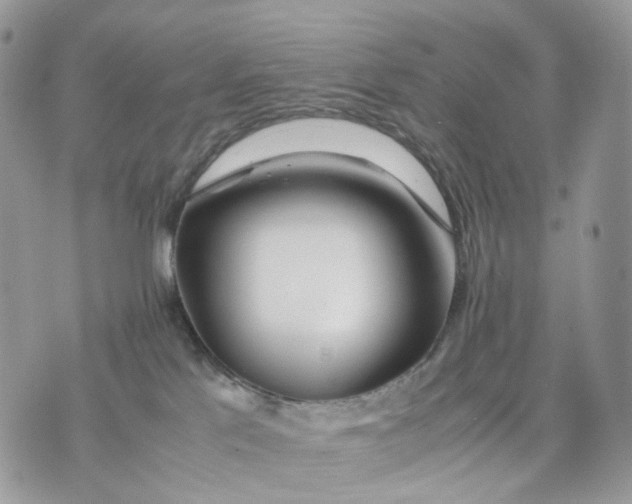 X0000075360041200609291512