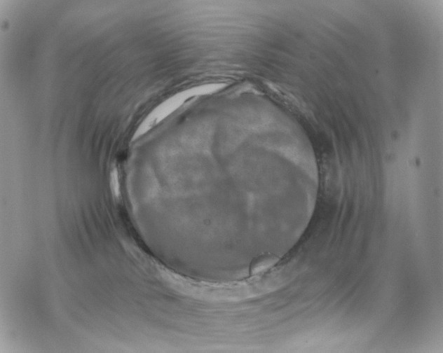 X0000075360042200609291512