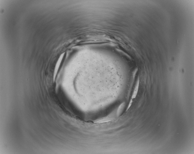 X0000075360043200609291512