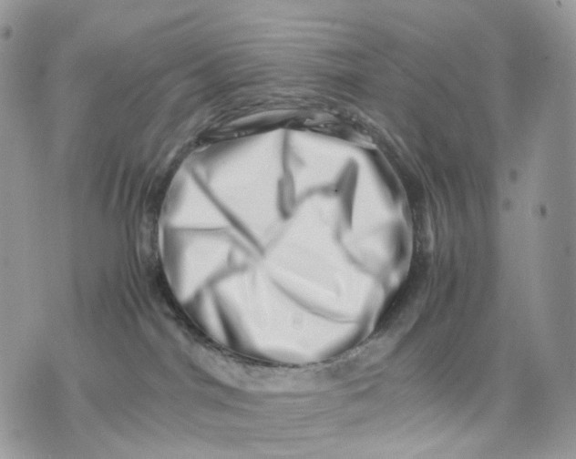 X0000075360044200609291512