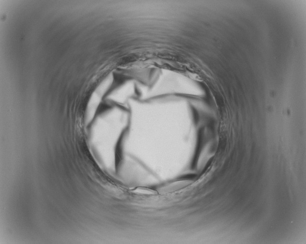 X0000075360045200609291512