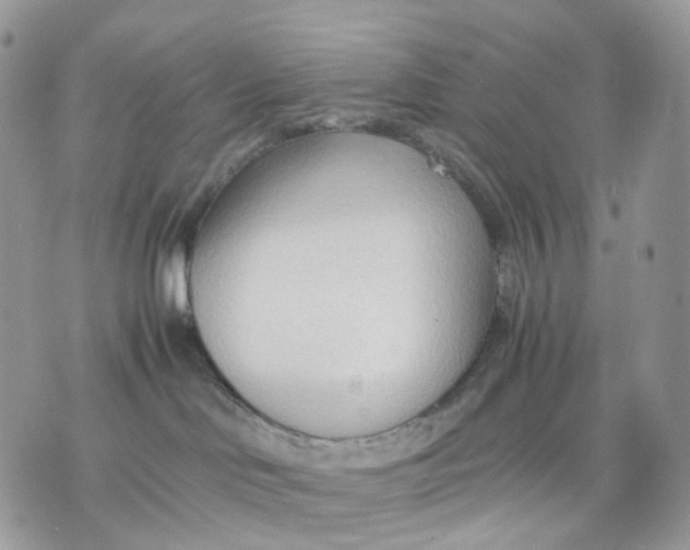 X0000075360046200609291512