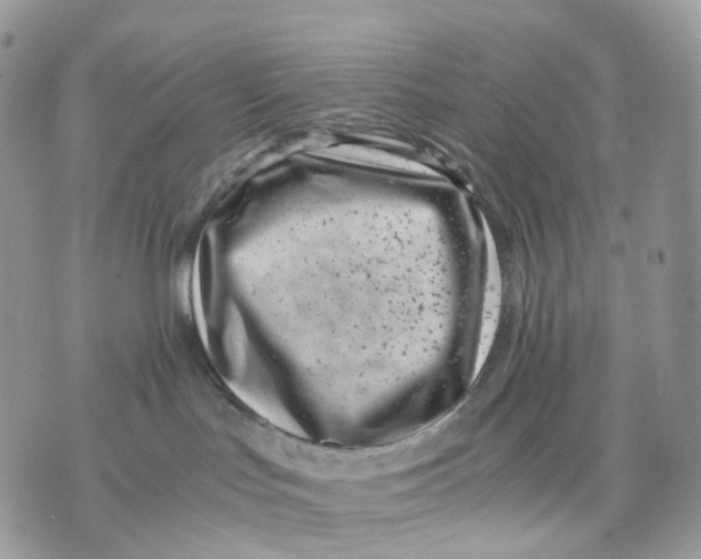 X0000075360047200609291512