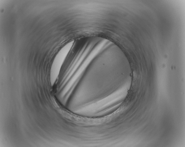 X0000075360048200609291512