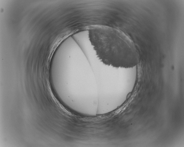 X0000075360049200609291511