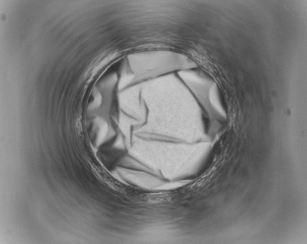 X0000075360050200609291511