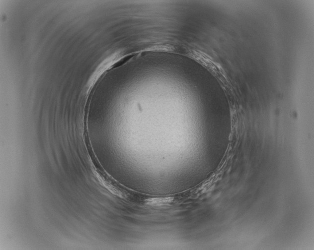 X0000075360051200609291511