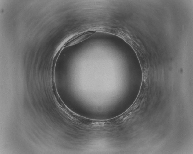 X0000075360052200609291511