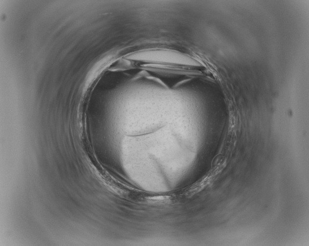 X0000075360053200609291511