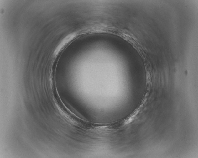 X0000075360054200609291511