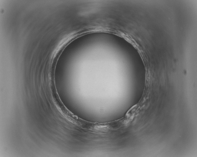 X0000075360055200609291511