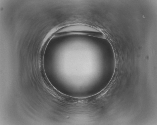 X0000075360056200609291511