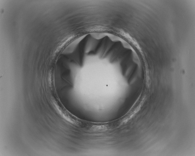 X0000075360057200609291511