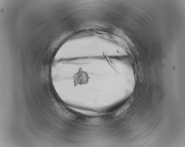 X0000075360058200609291511