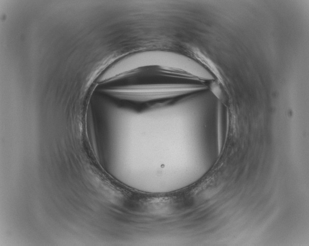 X0000075360059200609291511