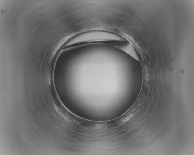 X0000075360060200609291511