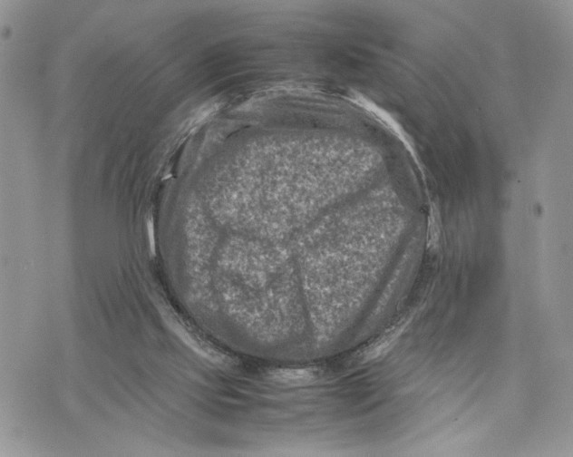 X0000075360061200609291511