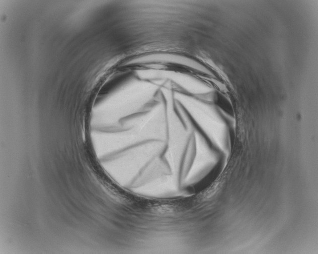 X0000075360062200609291511