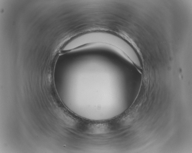 X0000075360063200609291511