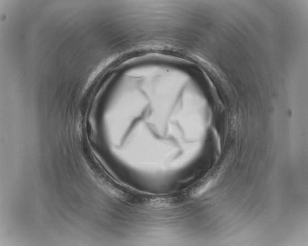 X0000075360064200609291511