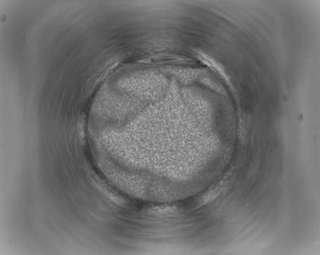 X0000075360065200609291511