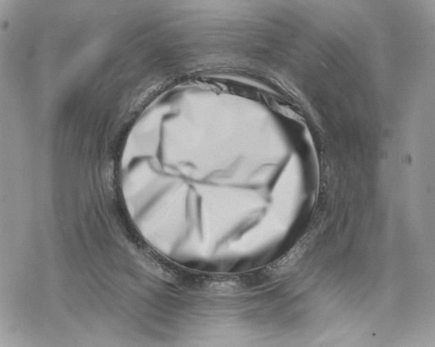 X0000075360066200609291511