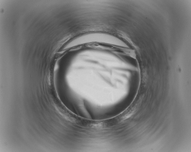 X0000075360068200609291511