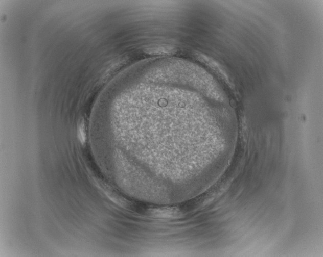 X0000075360069200609291511