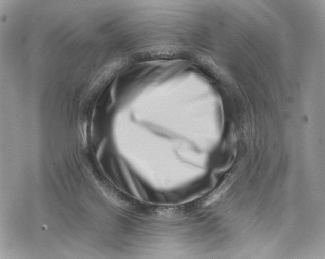 X0000075360070200609291511