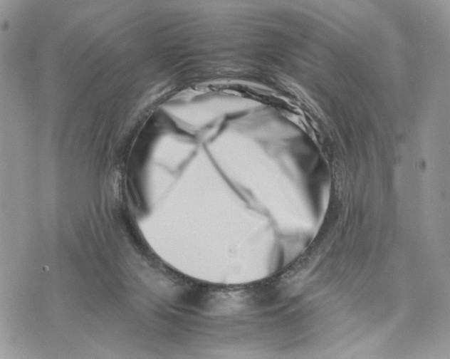 X0000075360071200609291511