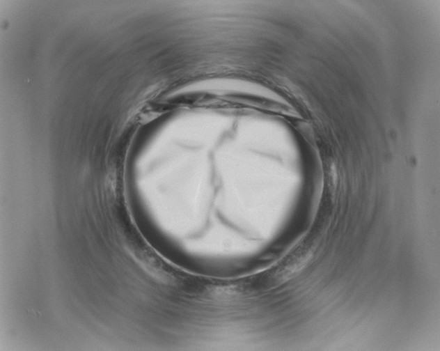 X0000075360072200609291511