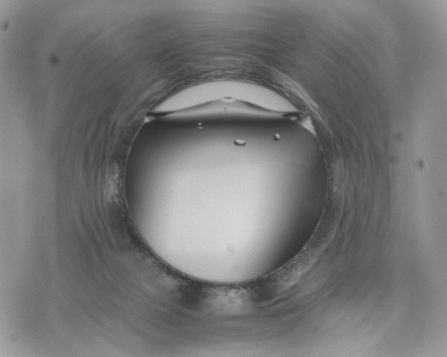 X0000075360073200609291511