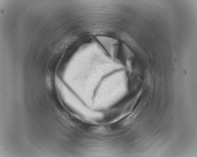 X0000075360074200609291511