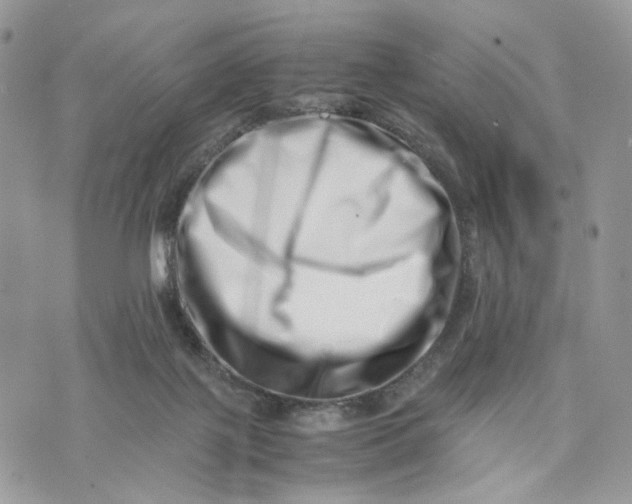 X0000075360075200609291511