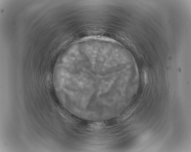 X0000075360079200609291511