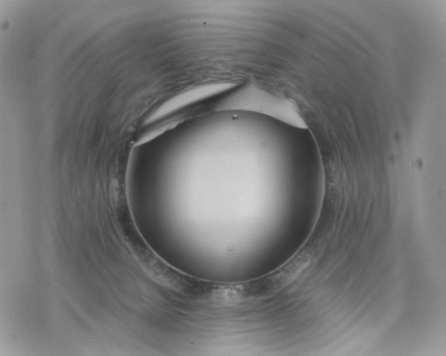 X0000075360080200609291511