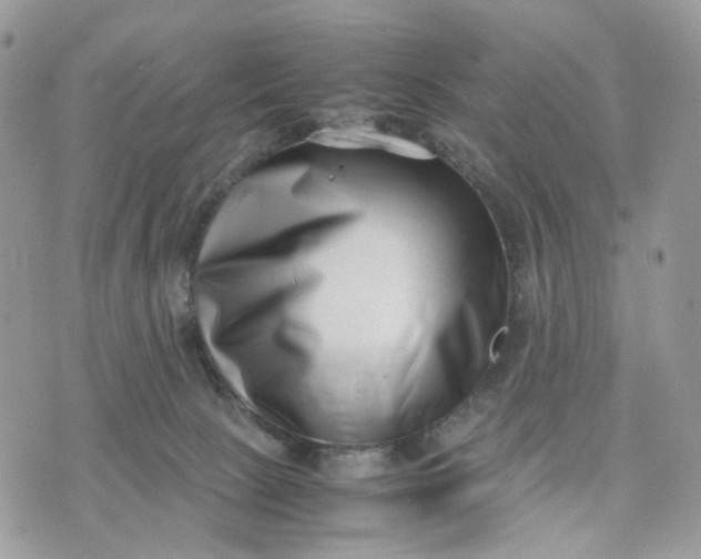 X0000075360081200609291511