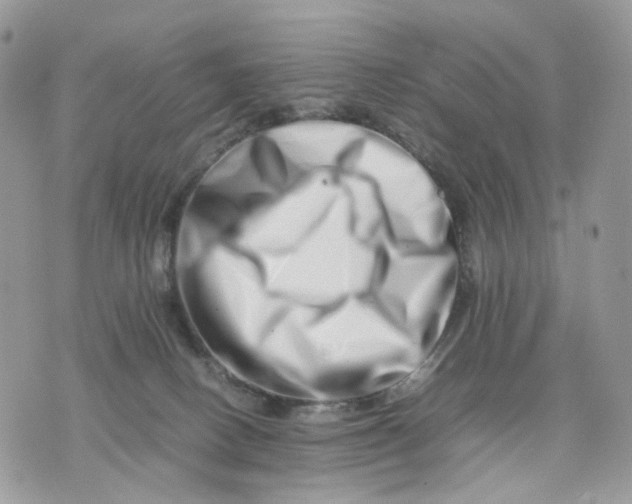 X0000075360082200609291511