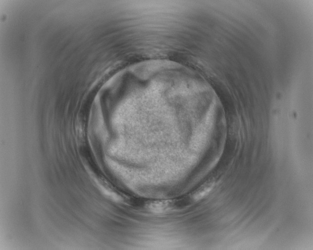 X0000075360084200609291511