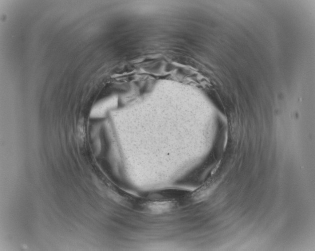 X0000075360085200609291511