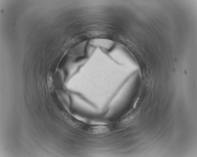 X0000075360087200609291512