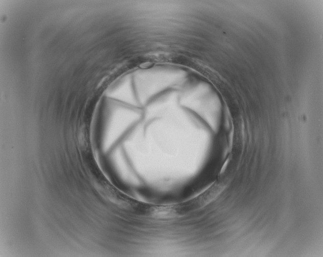 X0000075360088200609291512