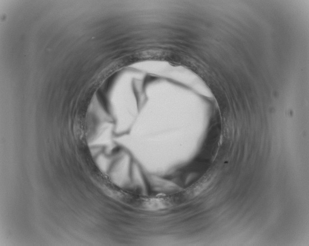 X0000075360091200609291512