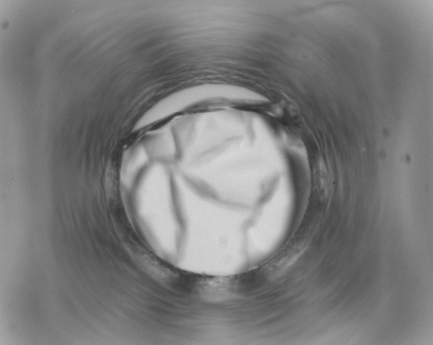 X0000075360092200609291512